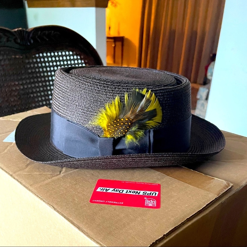 Biltmore Hat - image 1